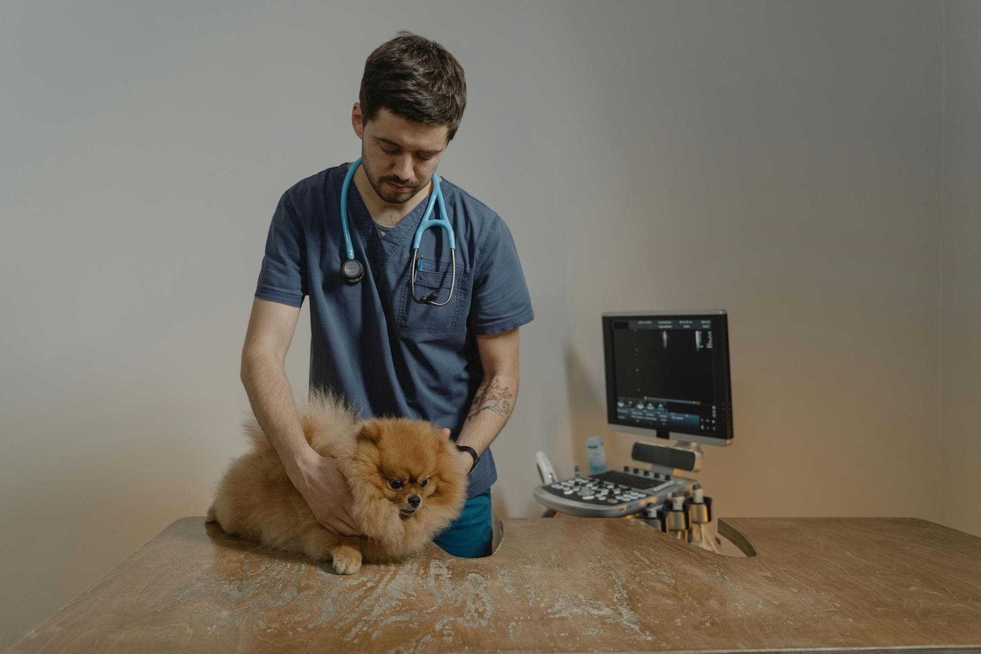 Dog & Cat Vets in Ruston